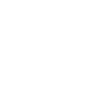 NEF-Logo-white